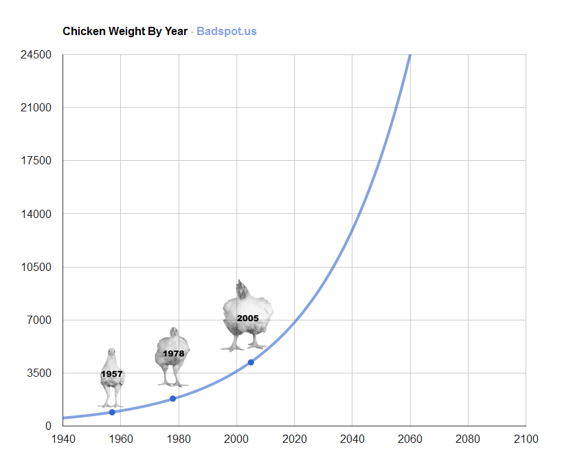 Chicken Weight By Year