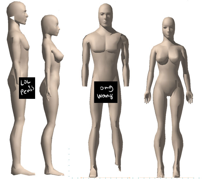 Male and Female Character Models