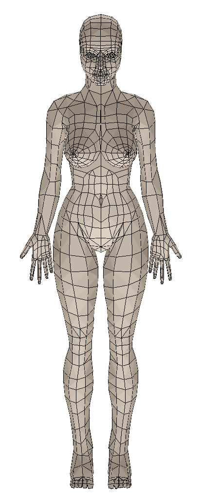 Wire frame woman